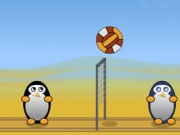 البطريق يلعب الكرة الطائرة